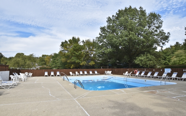 Community Pool Area