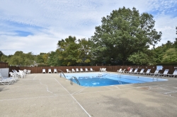 Community Pool Area