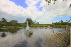 Community Views - golf course