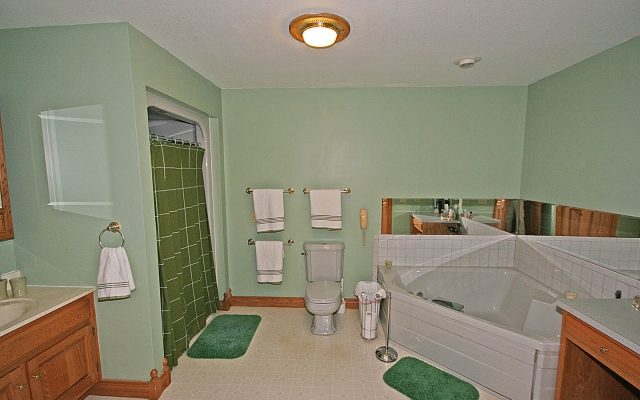 Master Bath