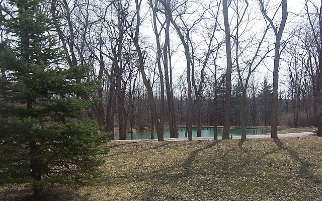 Pond