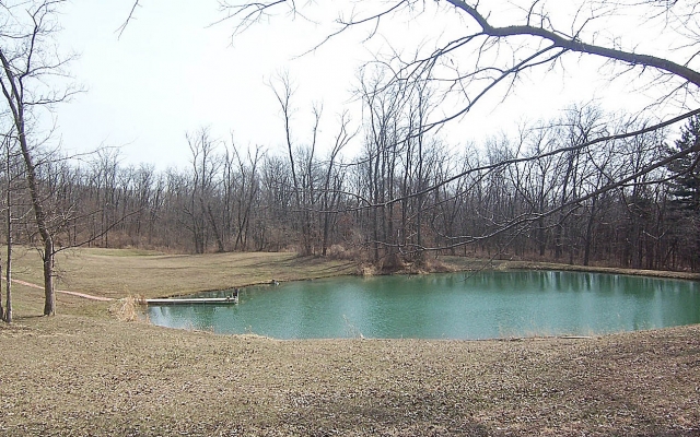 Pond