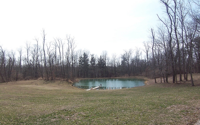 Pond
